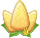 Les bonbons des Vosges